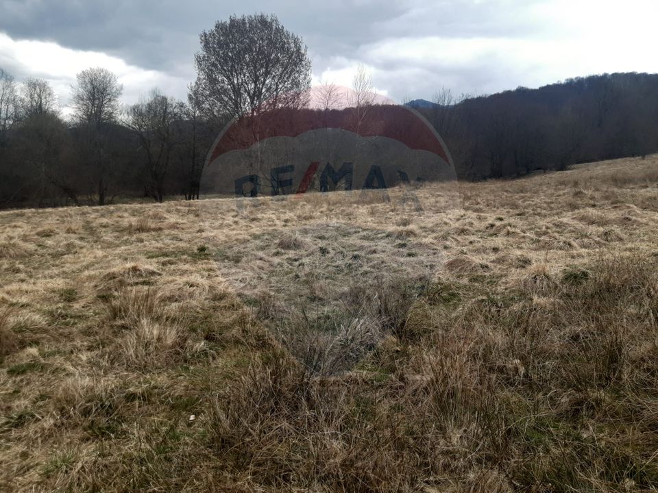 Teren 7,153mp Rasnov / Drumul DN 73A