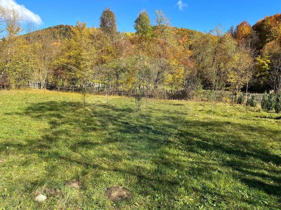 Land 1,350sqm Garcina / Strada Cuejdiului