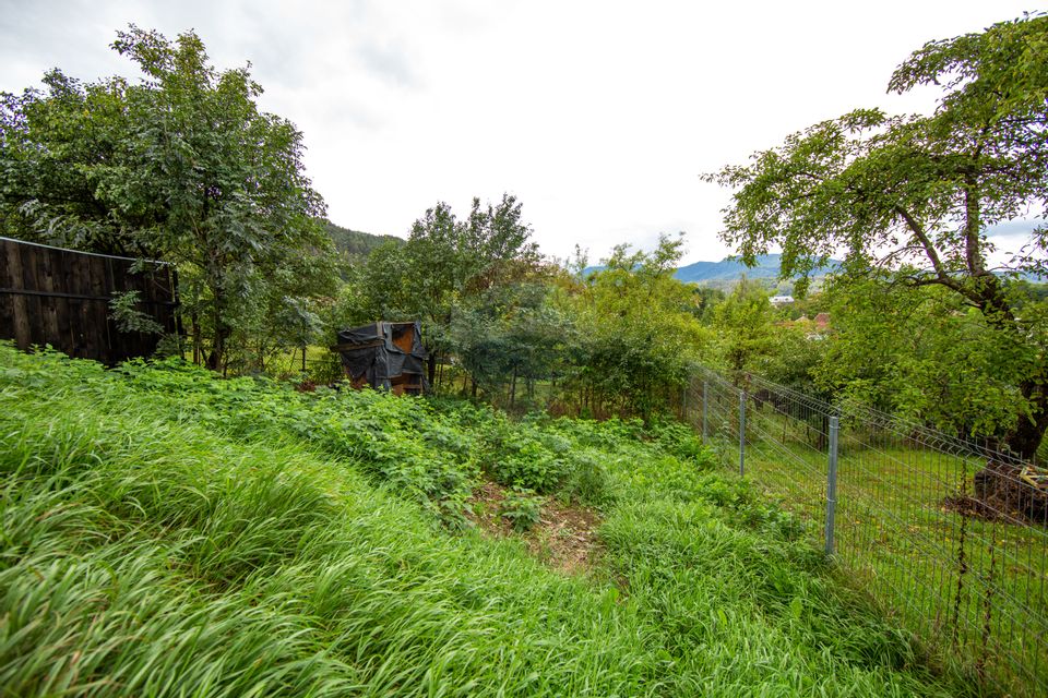 Duplex spațios – oportunitate pentru dezvoltatori sau două familii