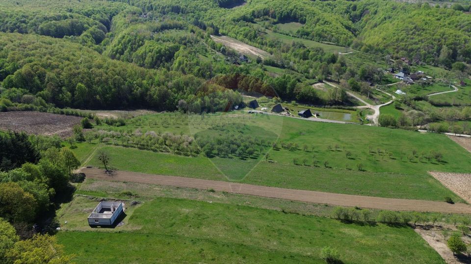 3 room House / Villa for sale