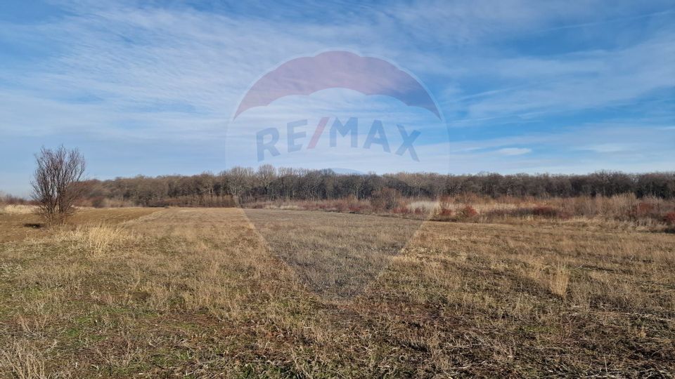Plots of built-up land near the forest| 2.5km from the road | Sabareni