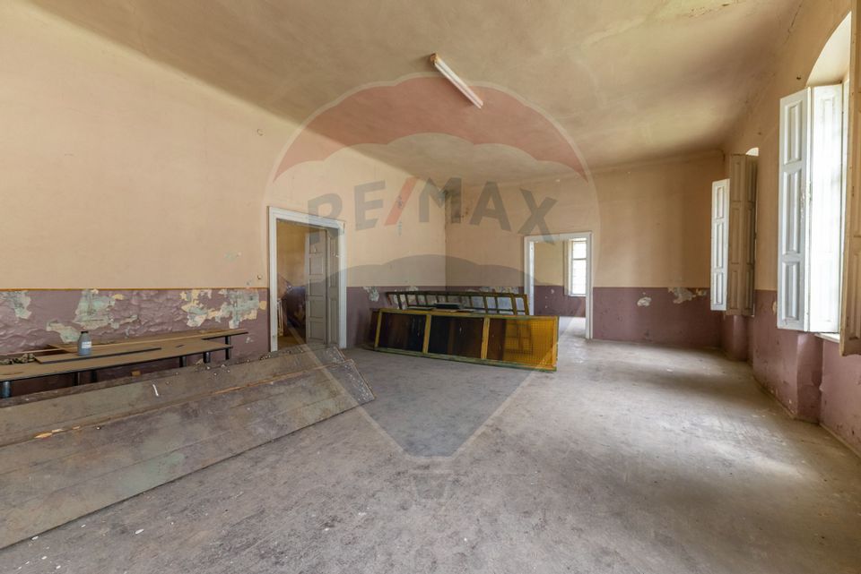 Conac aristocratic secolul XIX , domeniu  2,5 hectare — Păuliș, Arad