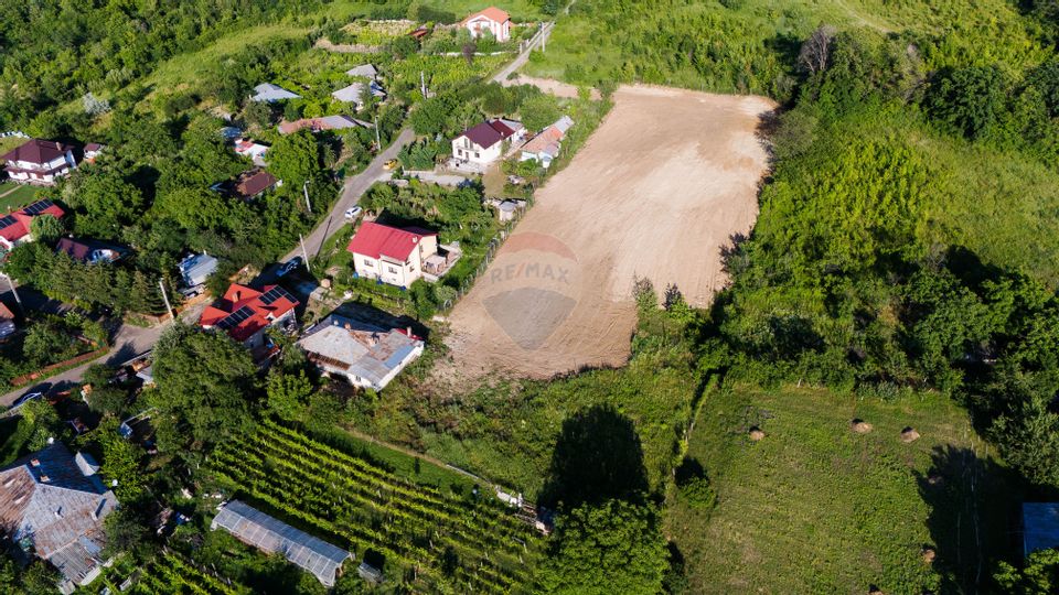 Land 2,934sqm Iasi / Calea Trecătoarea Păun,nr.12