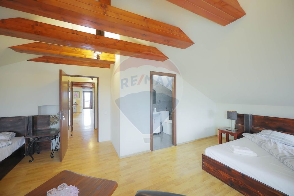 10 room Hotel / Pension for sale, Nufarul area