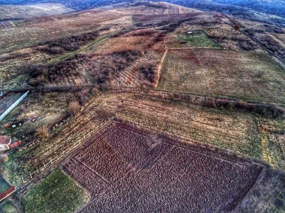 Teren de 1,200 mp cu potențial în Covăsânț, strada Liliacului