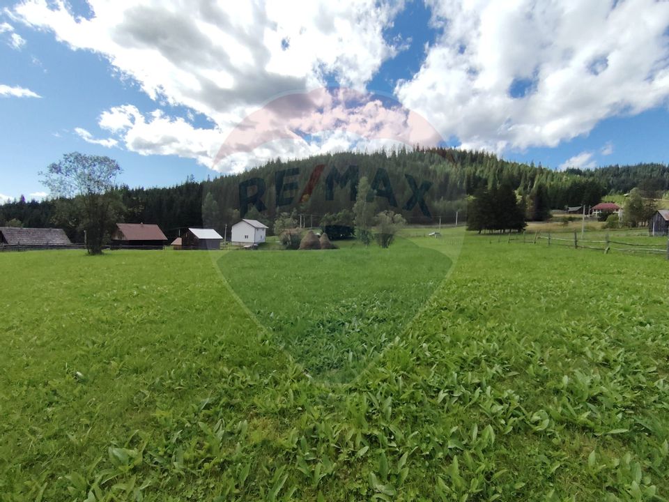 Teren de 14318m.p. în Paltinis, la 100m de strada Principala