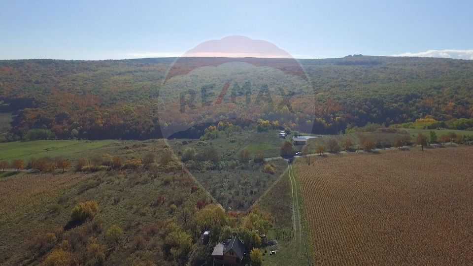 Land 2,556sqm Padureni (Chinteni) / Drumul DC147