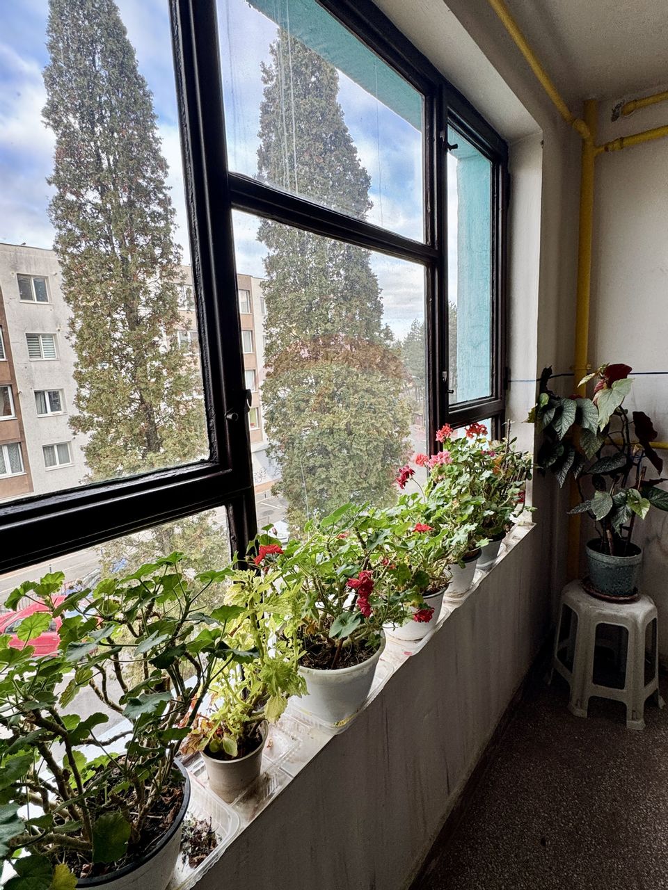 3 room Apartment for sale, Manastur area