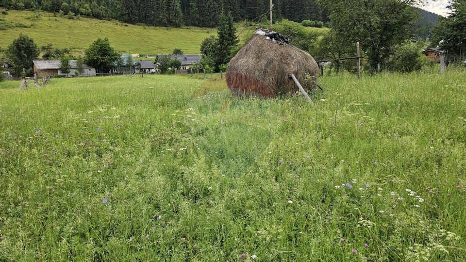 Casa 225 mp, teren intravilan 4822 mp C. Moldovenesc, Suceava