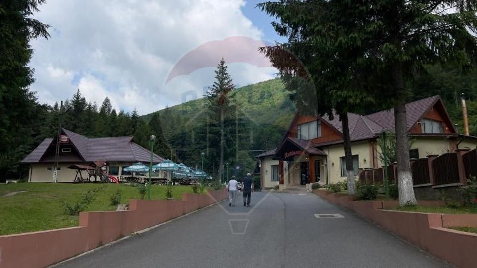 Oportunitate rară in România! Complex turistic Poiana Sărată si pădure