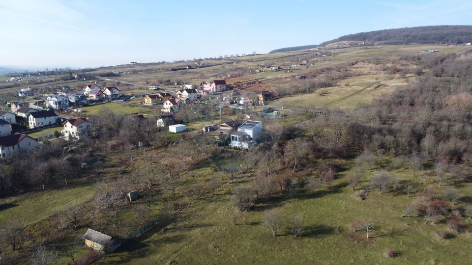Teren 20.146 mp Dâmbu Rotund (Lomb).Extravilan.Potențial rezidențial