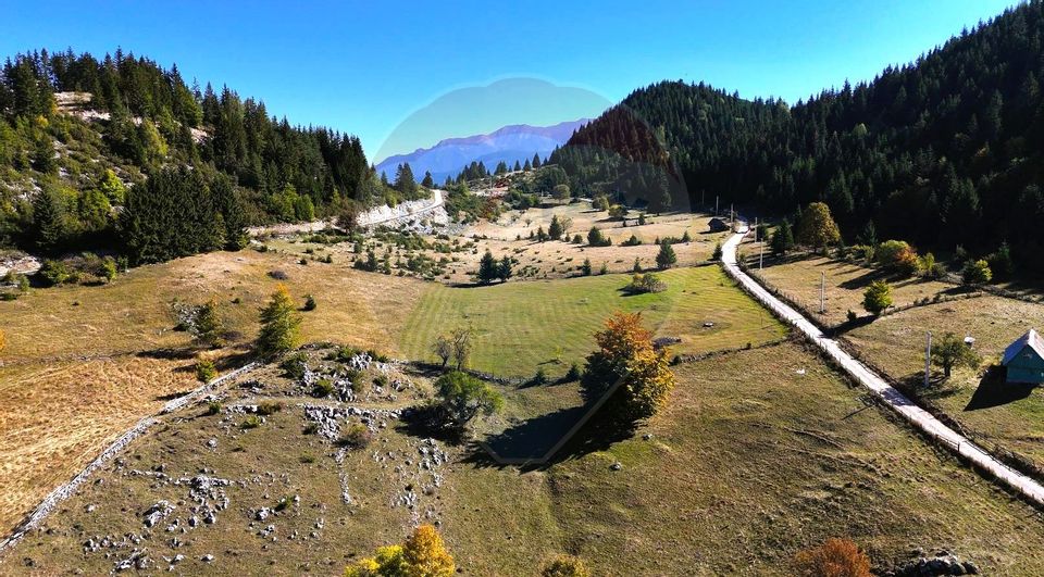 Land 1,056sqm Fundata / Strada fara nume