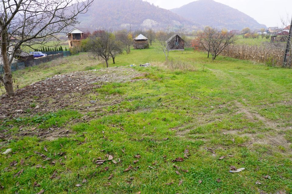 Teren 7968 mp Sighetu Marmatiei / Strada Lazu Baciului