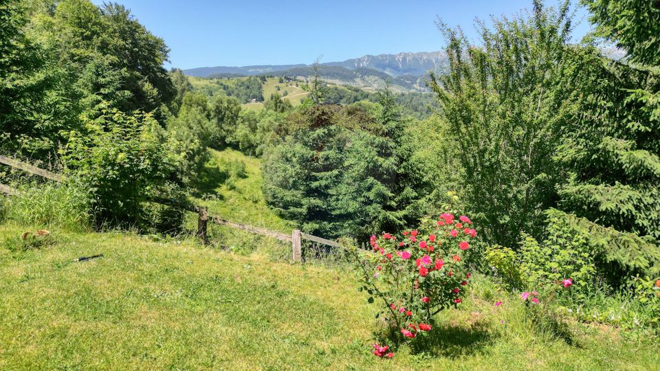 7 room House / Villa for sale