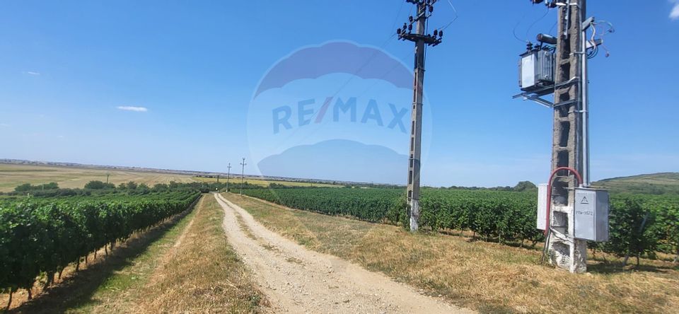 Land 50,500sqm Siria / DJ 709