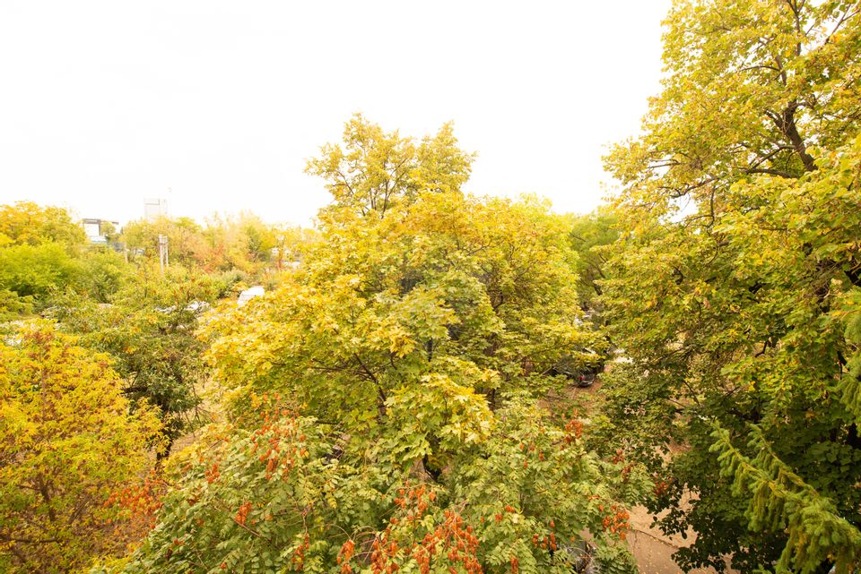 2 room Apartment for sale, Jiului area