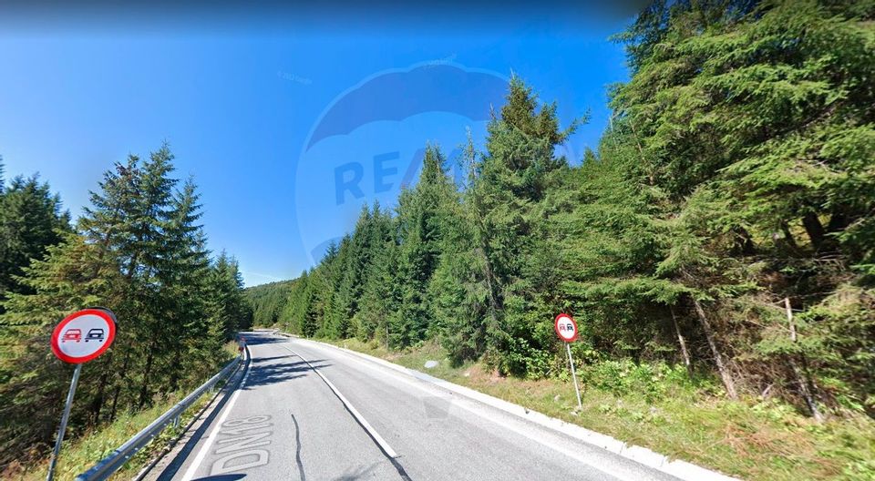 Teren Extravilan-Pădure de 27 hectare de vânzare în Borșa