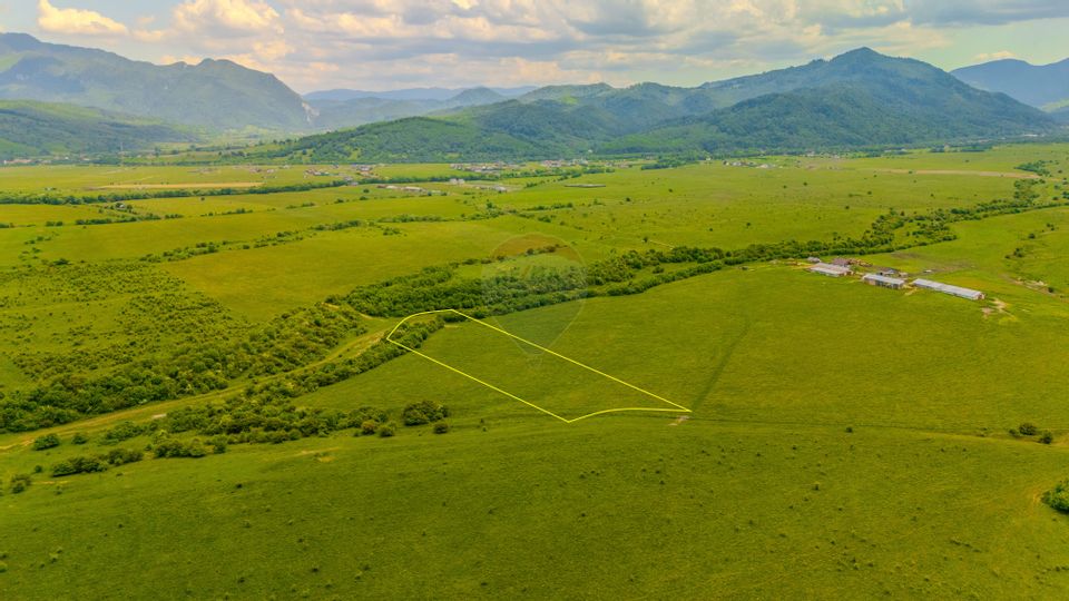 Land 10,800sqm Rasnov / Drumul DN73