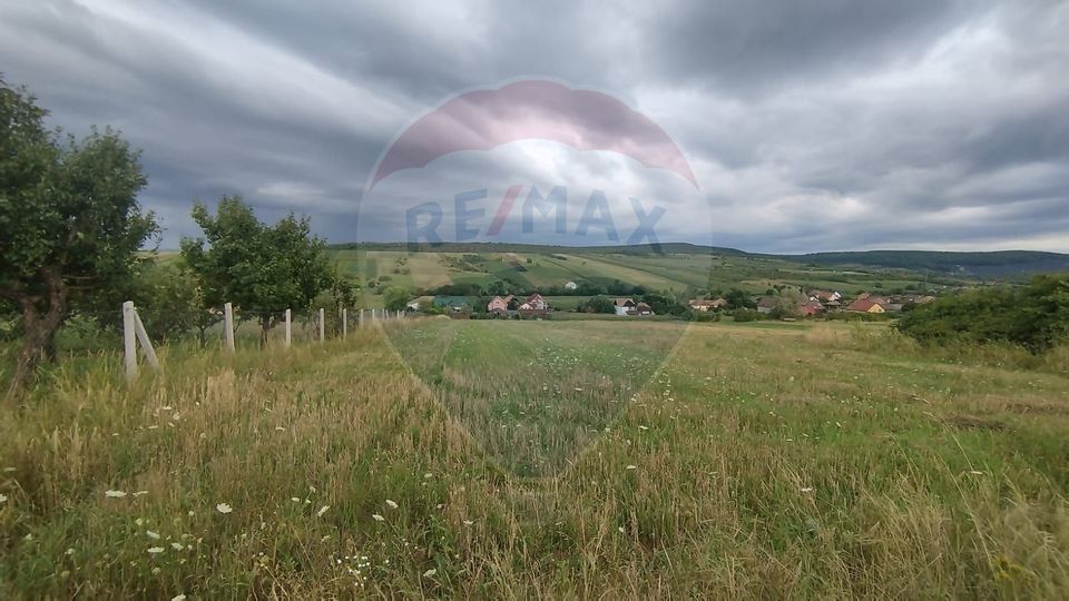 TEREN INTRAVILAN 2900 mp ȘIMLEU SILVANIEI/ Str. Corneliu Coposu/Sălaj