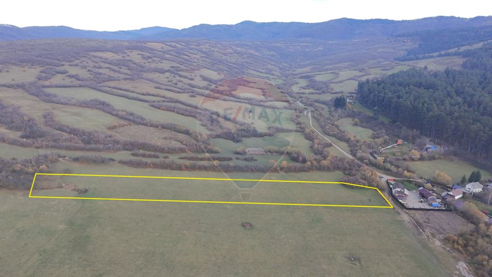 Teren 5.800 mp Purcareni curent, gaz, apă / Strada 30 decembrie