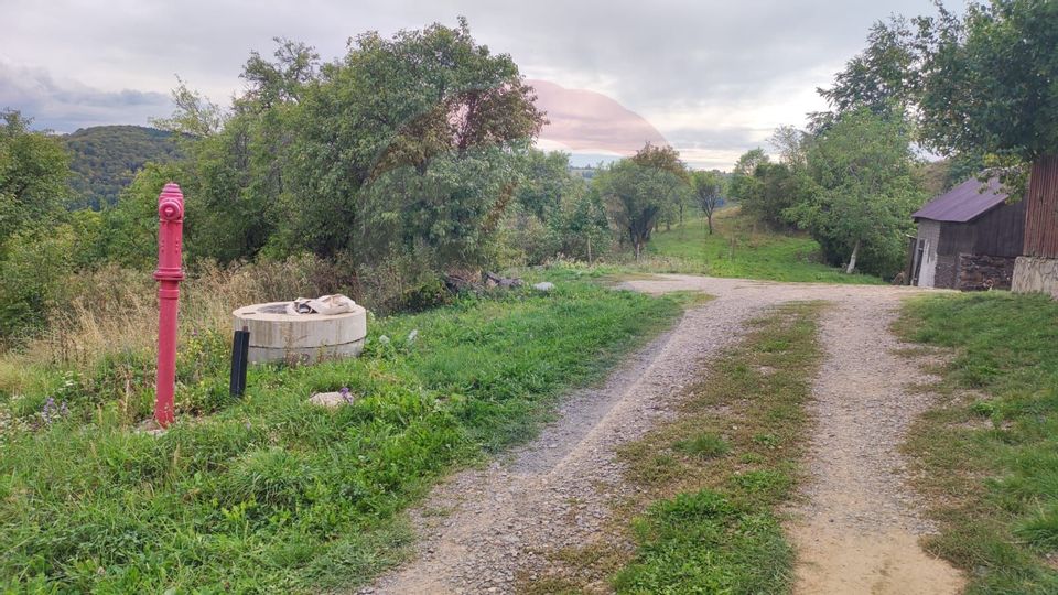 Teren constructii si faneata/livada 3082 mp Damis Bratca drum DJ 764D