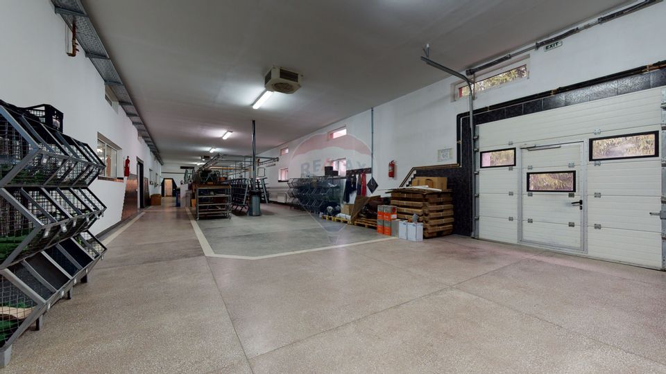 Producție / Depozitare + Birouri – Proprietate industrială de vânzare