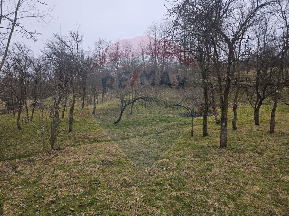 Casă  cu 5 camere de vânzare, Vișeu de Sus