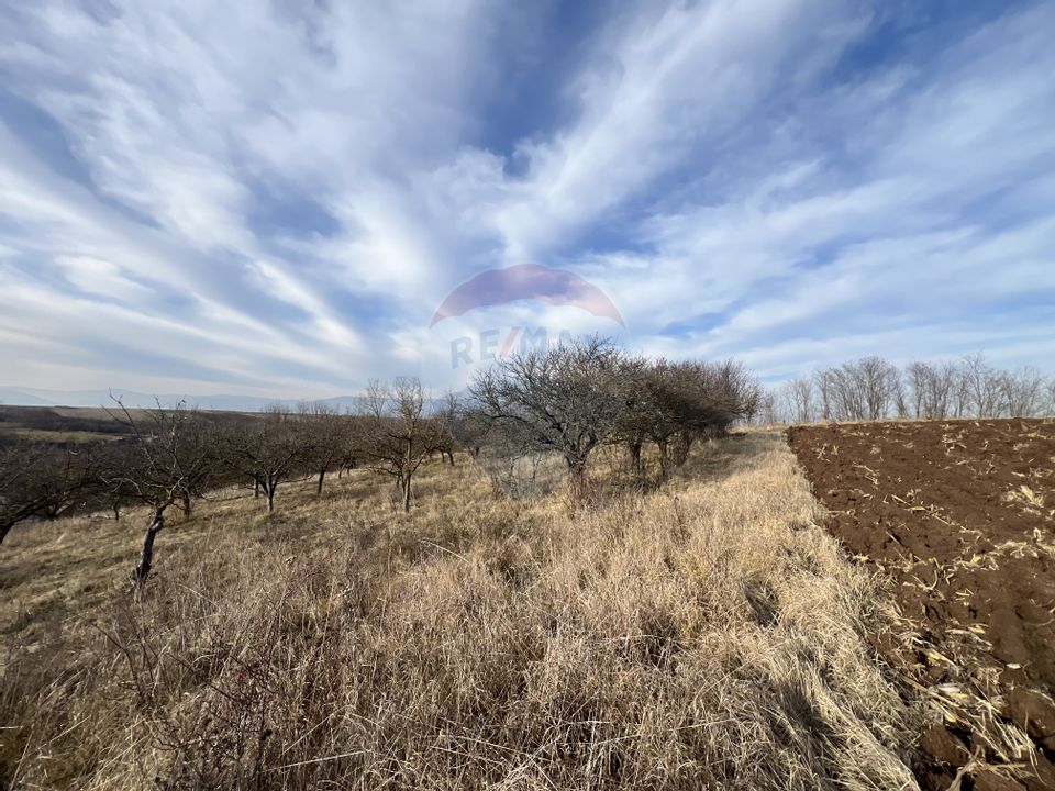Land 10,000sqm Badeni / Strada Mică