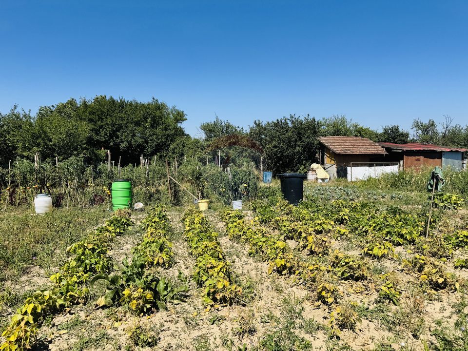 Teren 6,210mp Apateu / Strada Principala