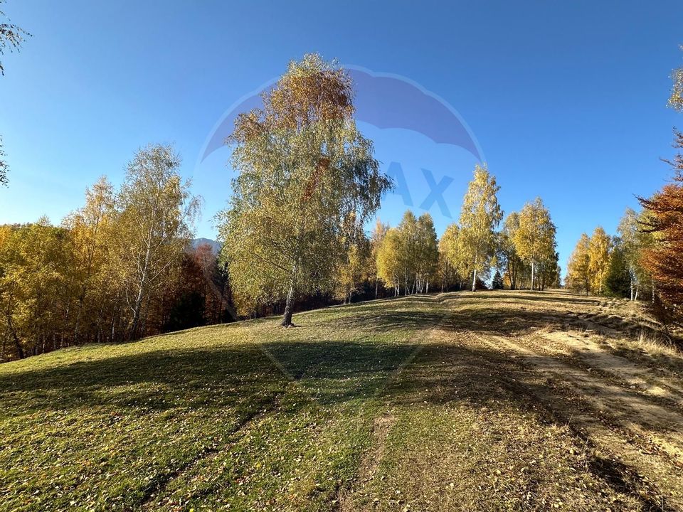 Investment opportunity ! Dream land in Pestera - 125,370 sqm