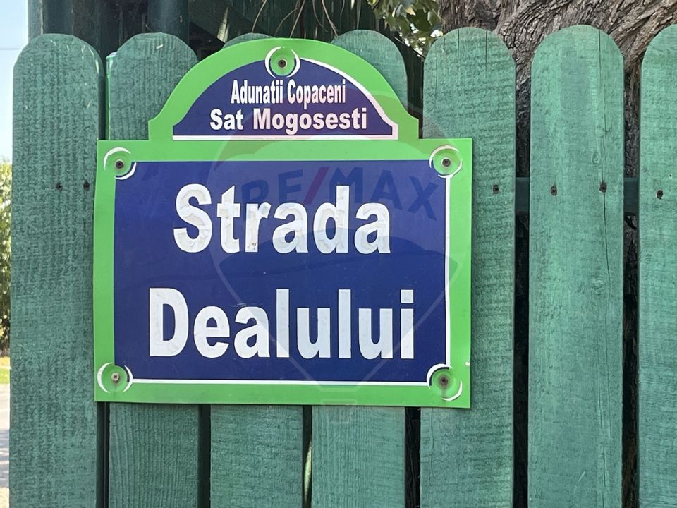 Teren Adunatii Copaceni-Strada Dealului