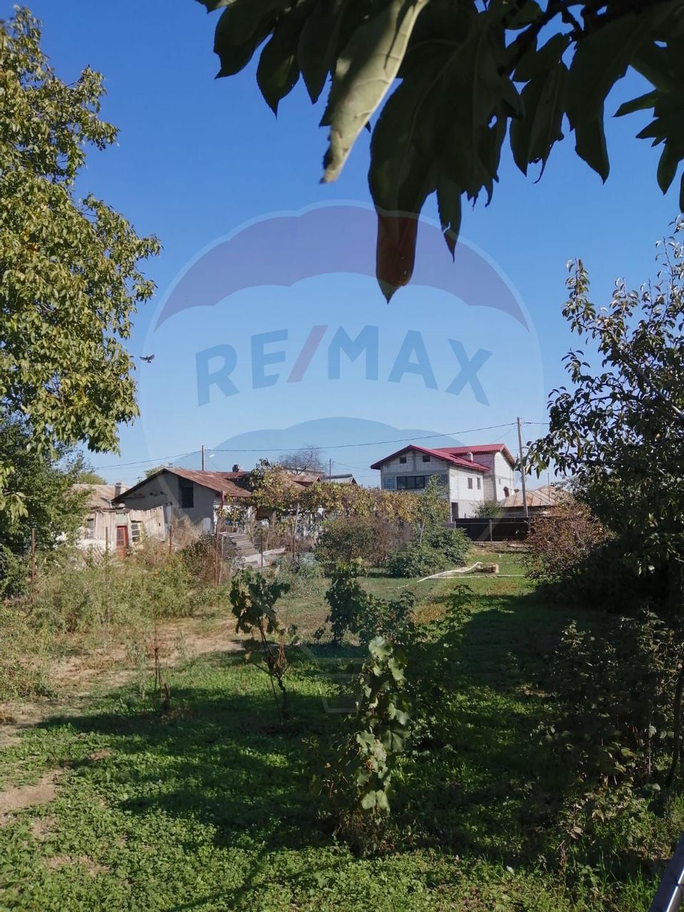 Built-up land | 800 sqm | Brezoaele