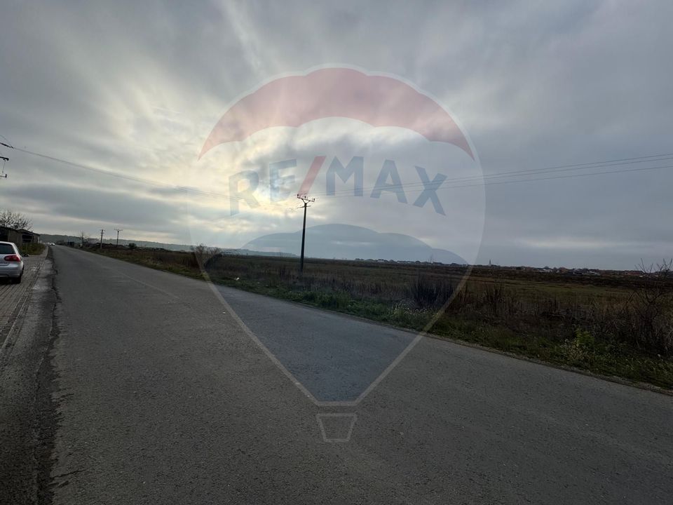 Land 1,000sqm Vladimirescu / Strada Padurii