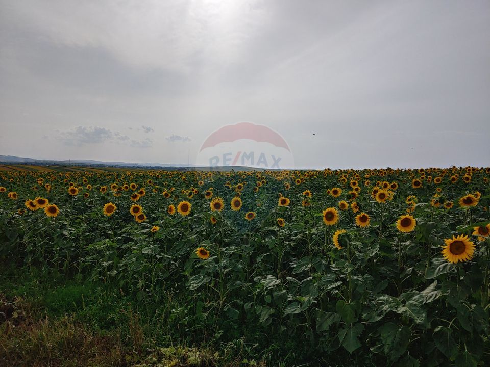 Teren parțial intravilan-300000mp Stroiești-Trei Movile, Suceava