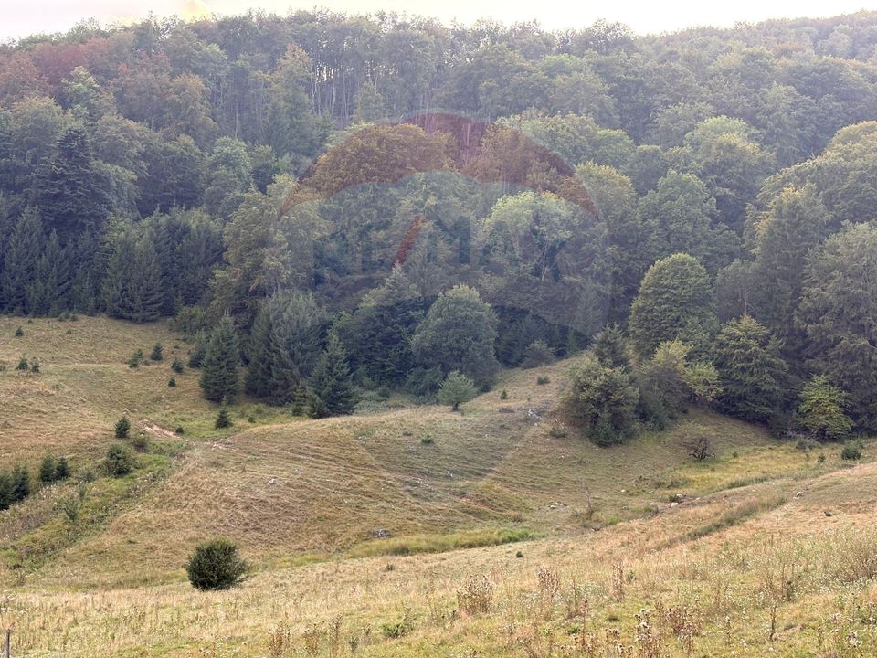 TEREN EXCLUSIV PENTRU INVESTIȚIE ÎN ZONĂ DE AGREMENT – BRAȘOV, DN 1E