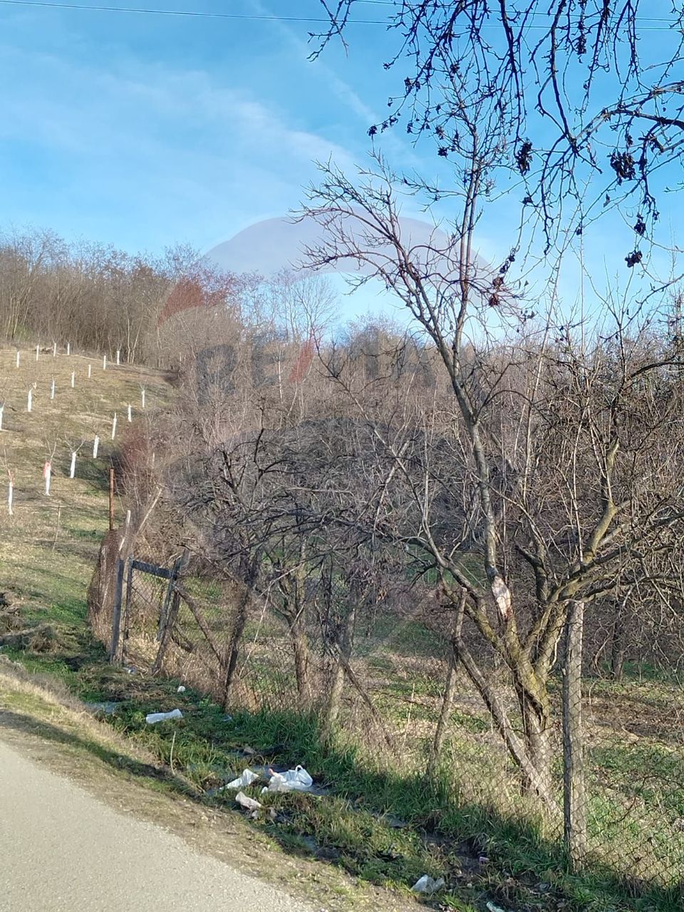 Teren intravilan 1.736 mp Chițești- Bogați (AG), deschidere la asfalt