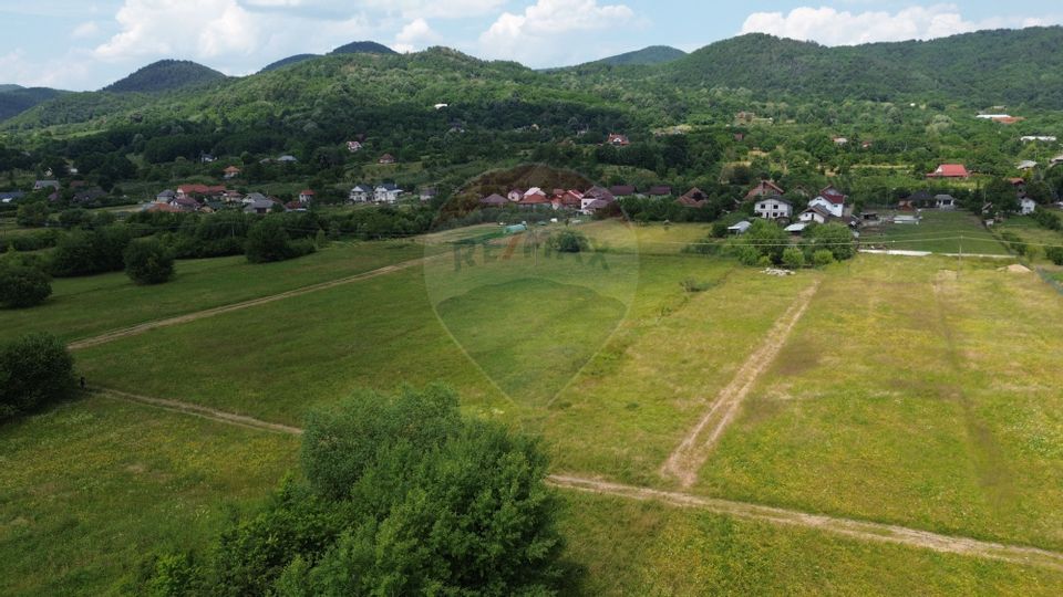 NOU - TEREN DE VANZARE - Cicarlau