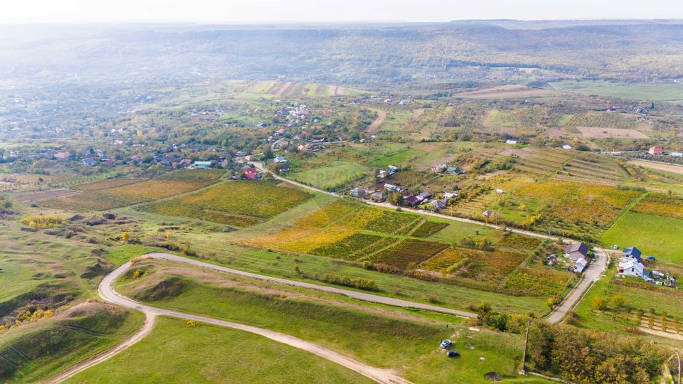 Oportunitate de afacere în industria vinului!