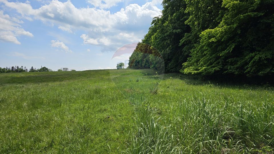 Teren Ilisesti  7000mp extravilan/ DN 17, Suceava