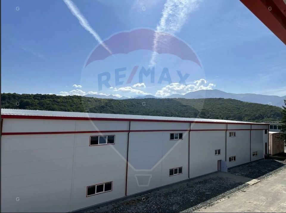 Hală producție/logistică cu poduri rulante-zona Avrig-Inchiriere