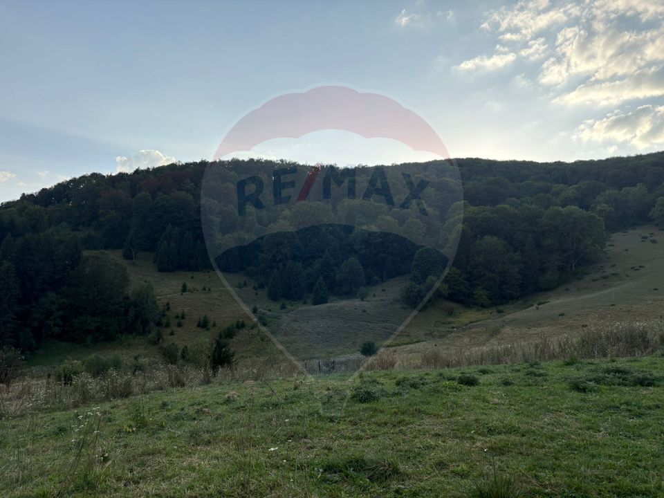 TEREN EXCLUSIV PENTRU INVESTIȚIE ÎN ZONĂ DE AGREMENT – BRAȘOV, DN 1E