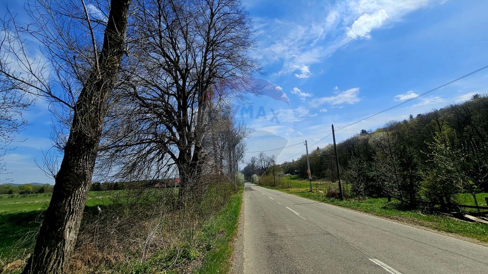 Land 10,000sqm Nemtisor / DJ 155C