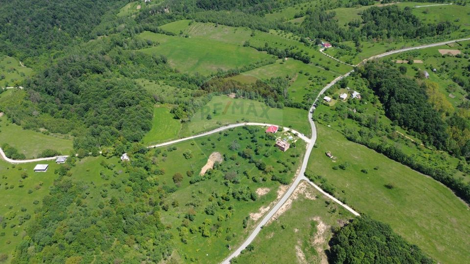 DE VÂNZARE – Teren intravilan 3 hectare, in Codrul Butesii, Maramures