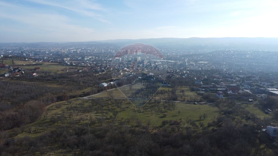 Teren 20.146 mp Dâmbu Rotund (Lomb).Extravilan.Potențial rezidențial
