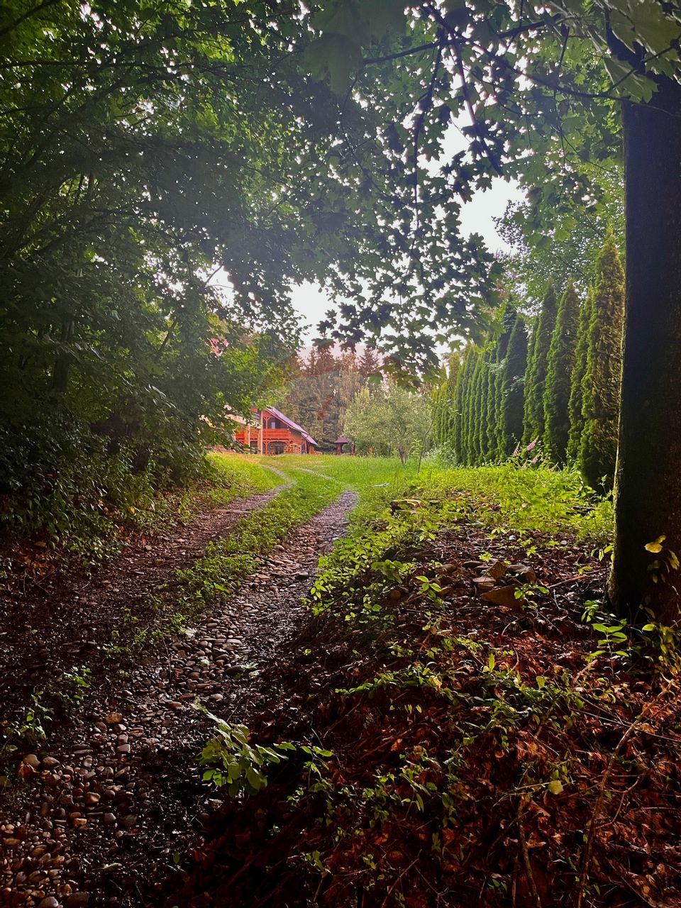 6 room Hotel / Pension for sale