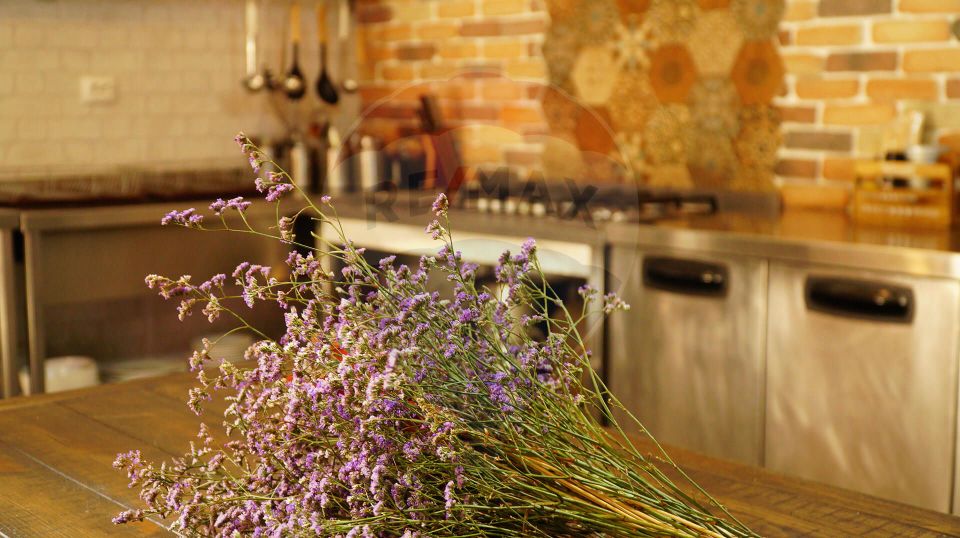 Guesthouse for sale | 12 rooms | Bisoca / Buzau