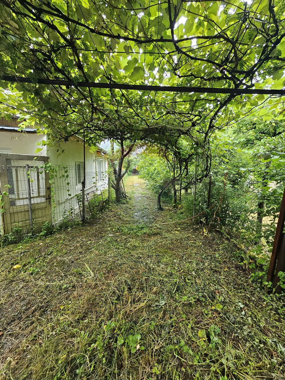 Casă / Vilă cu 3 camere de vânzare în zona Central