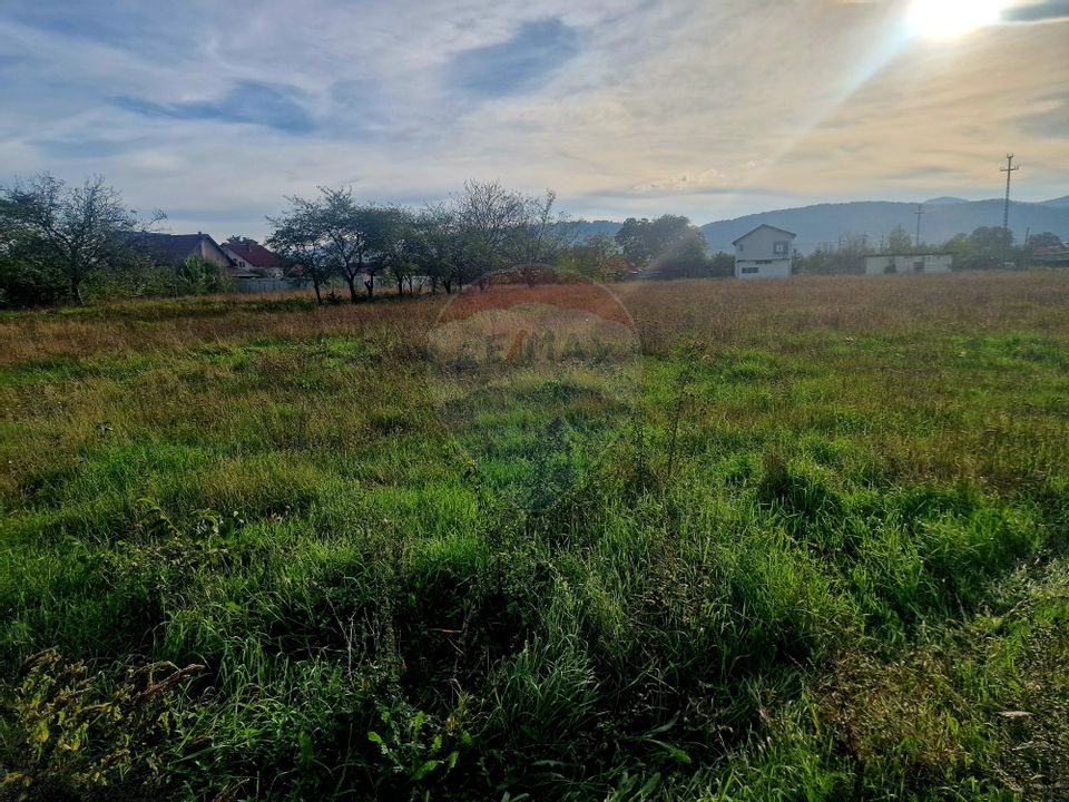 Land 1,800sqm Dumbrava Rosie / Strada ZORELELOR