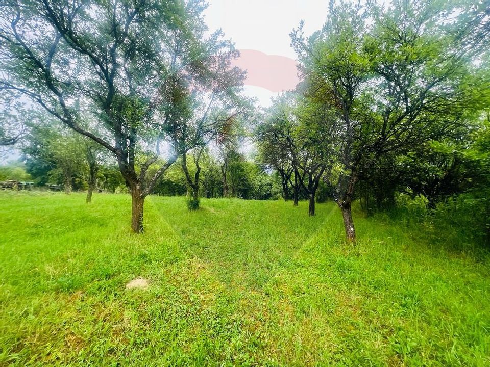 Land 2,156sqm Satu Nou de Jos / Strada Ciresilor