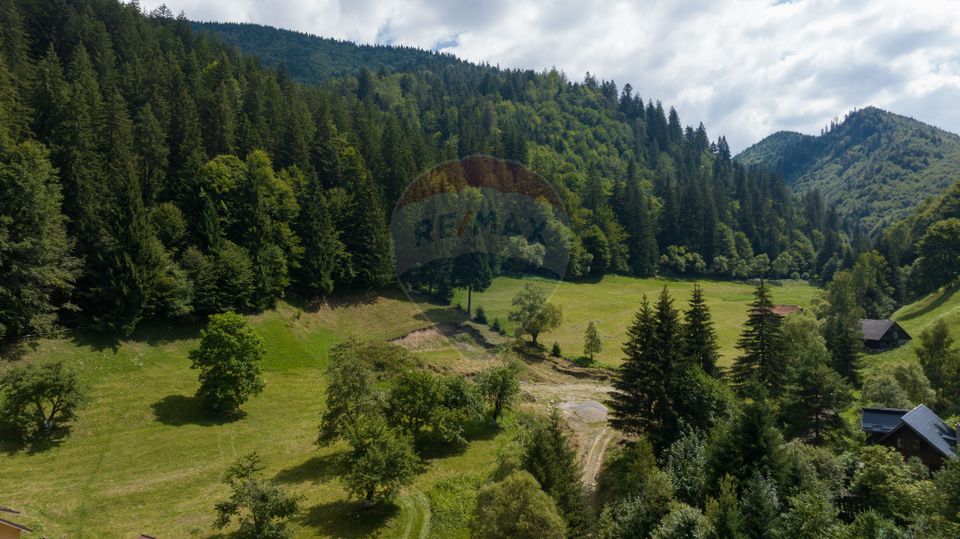 Teren 2.891 mp Șimon – Bran | Poziție rară, potențial turistic